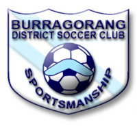 bdsc logo